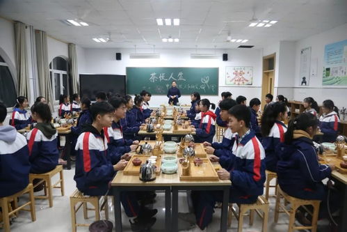 多彩课程，助力成长——圣卓选修课大阅兵之课程研发篇